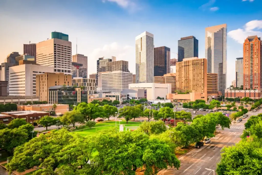 vein-specialist-houston