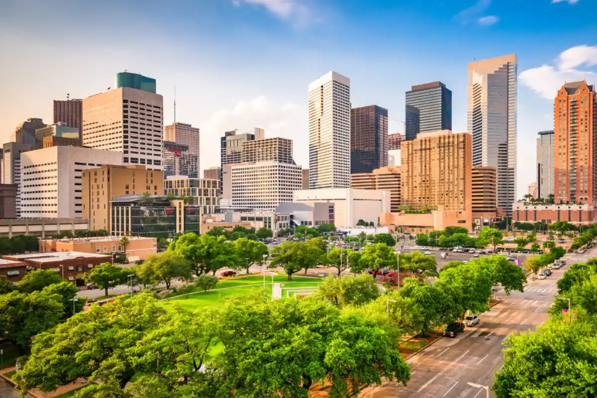 vein-specialist-houston