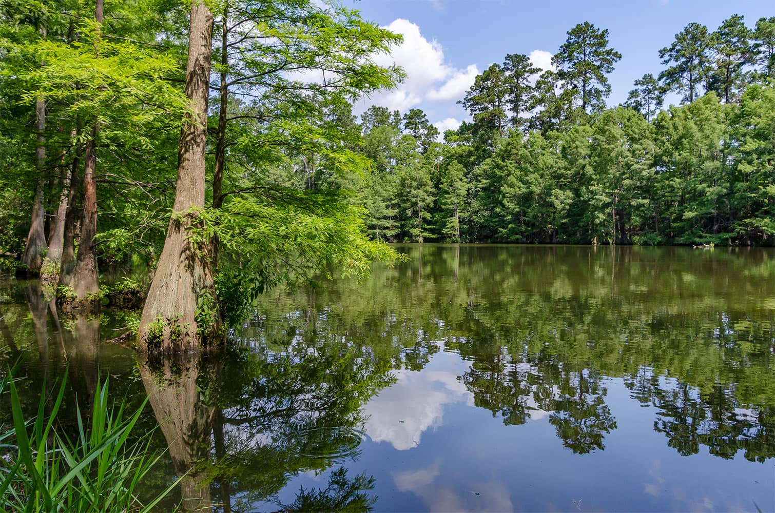 Spring Creek Greenway